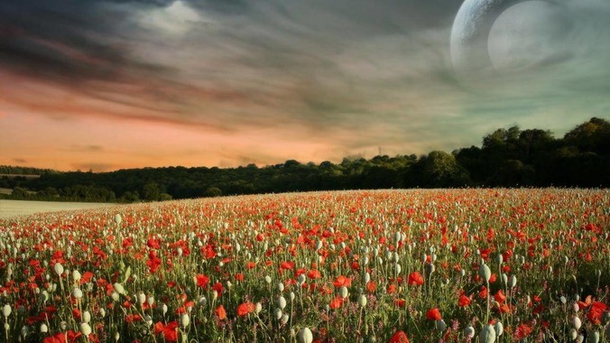 你们都什么时候对男女之事开窍的？